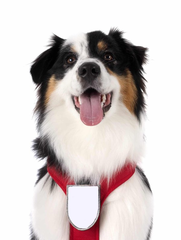 Comment personnaliser sa moto avec des accessoires fonctionnels et esthétiques ?