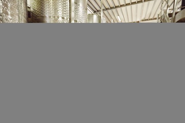 Quelles sont les diverses utilisations d'un tube inox ?