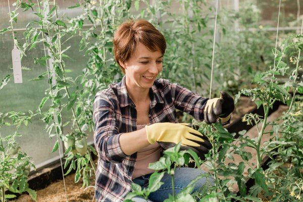 Comment choisir un système de fixation de coffre de toit qui n'affecte pas l'aérodynamisme d'une voiture électrique?